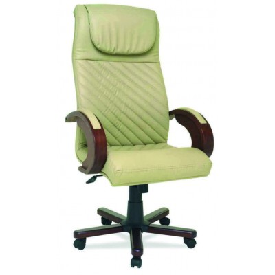 Şık ve Ergonomik Anatolia Müdür Koltuğu