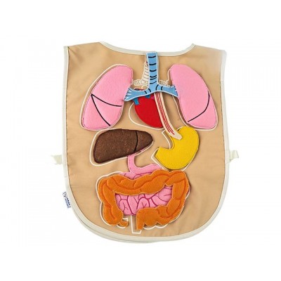 Sök-Tak Kumaş Organ Önlüğü: Eğlenceli ve Pratik